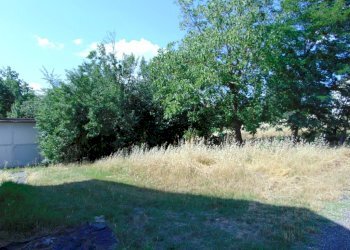 Casa indipendente Asti - foto 7