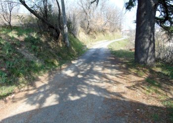 Independent house Alessandria - photo 16