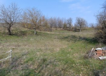 Independent house Alessandria - photo 20