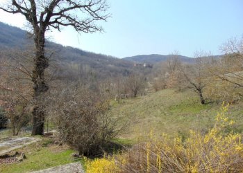 Independent house Alessandria - photo 21