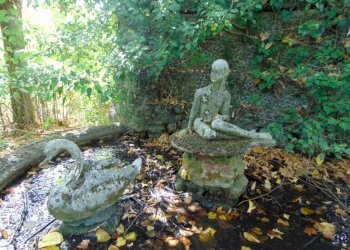 Casa indipendente Asti - foto 4