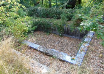 Casa indipendente Asti - foto 5