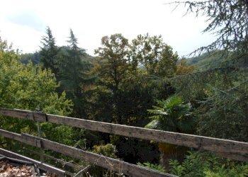 Casa indipendente Asti - foto 10