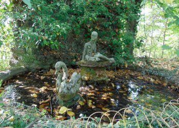 Casa indipendente Asti - foto 24