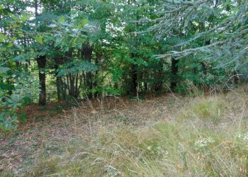 Casa indipendente Asti - foto 27