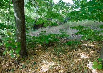 Casa indipendente Asti - foto 28