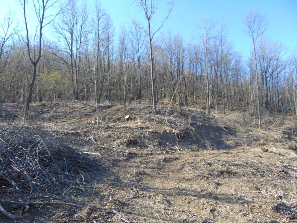 Casa indipendente Alessandria - foto 1
