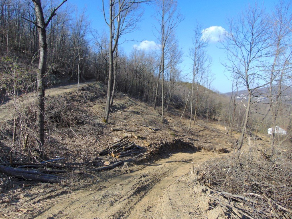 Casa indipendente Alessandria - foto 2