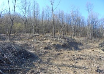 Casa indipendente Alessandria - foto 1