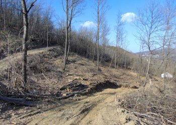 Casa indipendente Alessandria - foto 2