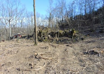 Casa indipendente Alessandria - foto 3