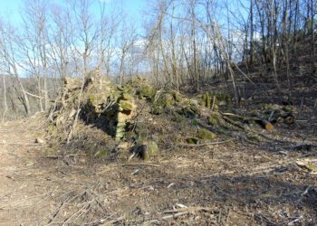 Casa indipendente Alessandria - foto 4