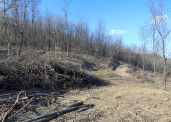 Casa indipendente Alessandria - foto 5