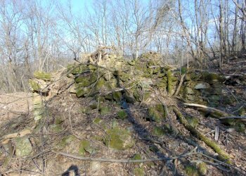 Casa indipendente Alessandria - foto 6