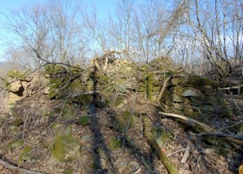 Casa indipendente Alessandria - foto 7