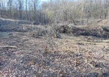 Casa indipendente Alessandria - foto 8