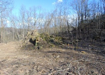 Casa indipendente Alessandria - foto 11