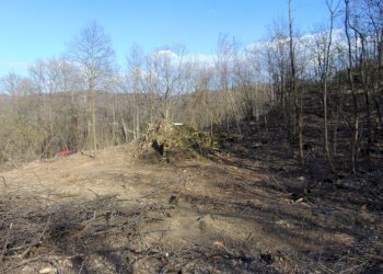 Casa indipendente Alessandria - foto 12