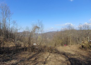 Casa indipendente Alessandria - foto 13