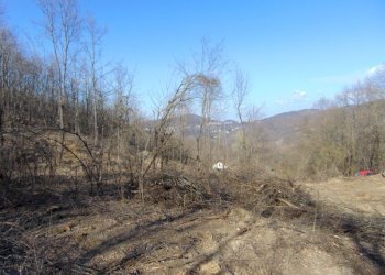 Casa indipendente Alessandria - foto 14