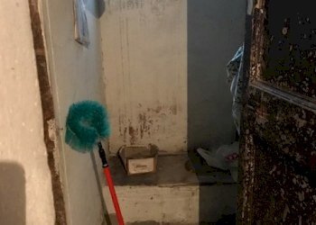 IMG_6642.JPG - Rustico San Giuliano Terme - foto 3