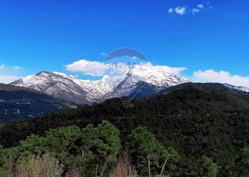 Casale Strada San pietro 
 Apricale, IM, Apricale - foto 16