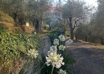 Casale Strada San pietro 
 Apricale, IM, Apricale - foto 21