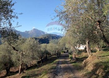 Casale Strada San pietro 
 Apricale, IM, Apricale - foto 25