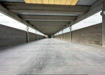 capannone - Shed via Francesca, Ciserano - photo 10