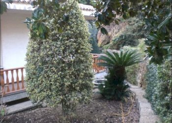 CIMG0705.JPG - Villa Via Risorgimento, Modica - foto 5