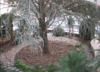 CIMG0732.JPG - Villa Via Risorgimento, Modica - foto 11