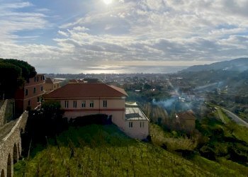 IMG_8601.jpeg - Appartamento Piazza Quaglia 1, Diano Castello - foto 12