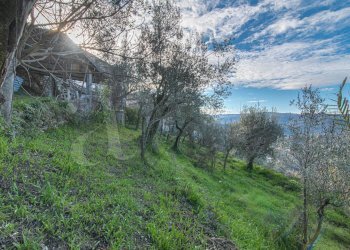 Stabile - Palazzo Via Indipendenza, Posta Fibreno - foto 9