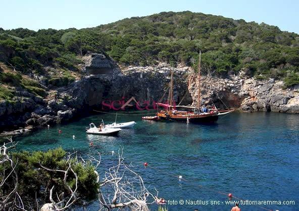 Bilocale Isola del Giglio - foto 1