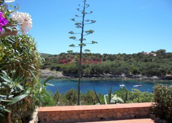 Bilocale Isola del Giglio - foto 4