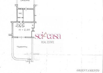 Bilocale Isola del Giglio - foto 20