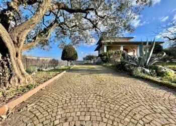 IMG_0267.jpg - Villa Cesena - foto 1