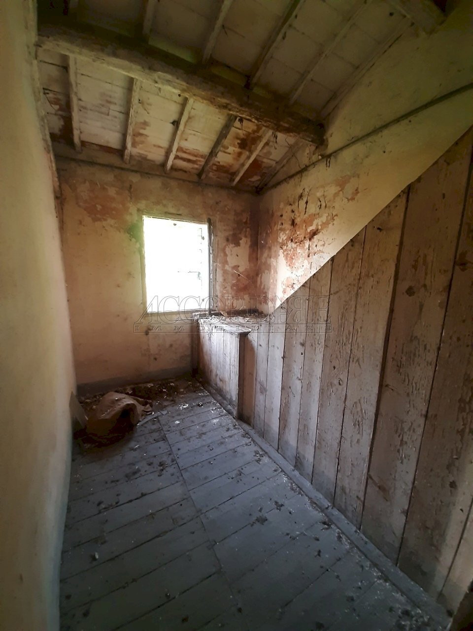 20210910_171617.jpg - Rustico via muncipio, Campodoro - foto 3