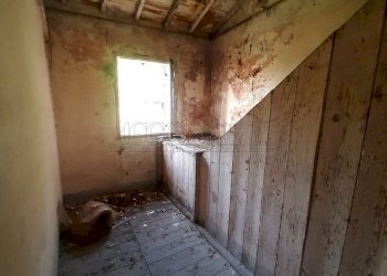 20210910_171617.jpg - Rustico via muncipio, Campodoro - foto 3