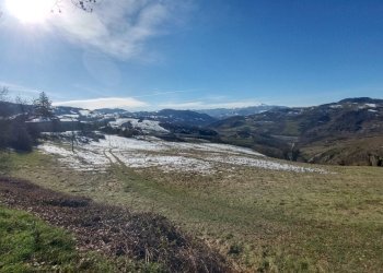 podereZocca (11).jpg - Rustic Zocca - photo 22