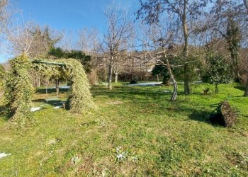 podereZocca (14).jpg - Rustic Zocca - photo 29