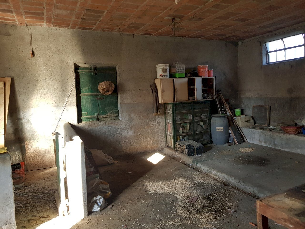 20230209_100644.jpg - Terratetto - Terracielo Via delle Pierone, Lucca - foto 2