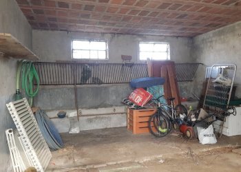 20230209_100641.jpg - Terratetto - Terracielo Via delle Pierone, Lucca - foto 1