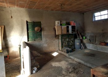 20230209_100644.jpg - Terratetto - Terracielo Via delle Pierone, Lucca - foto 2