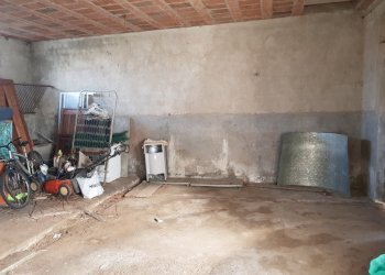 20230209_100637.jpg - Terratetto - Terracielo Via delle Pierone, Lucca - foto 3