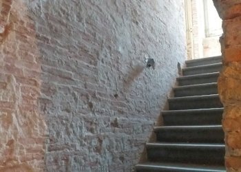 20190622_100857_resized.jpg - Rustico Calci - foto 7