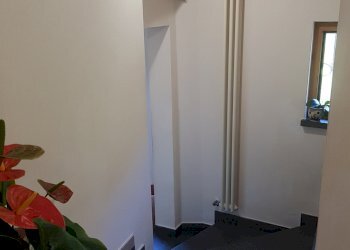 20220713_095057.jpg - Terratetto - Terracielo Calci - foto 17