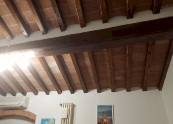 20220713_095152.jpg - Terratetto - Terracielo Calci - foto 24