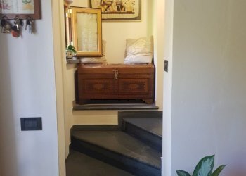 20220713_095317.jpg - Terratetto - Terracielo Calci - foto 30