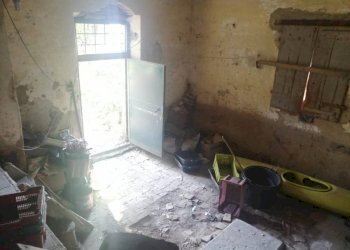 F_465116.jpg - Rustico Calci - foto 12